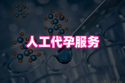 海口助孕网站 1