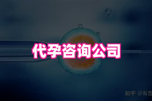 海口助孕网站 3