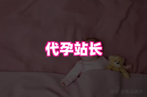 海口助孕网站 4